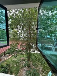 Blk 252 Tampines Street 21 (Tampines), HDB 3 Rooms #450494741